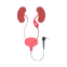 Ureteroscopy (URS) icon