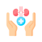 Kidney Stone Treatment icon